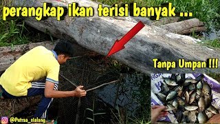 perangkap ikan paling ampuh angkat bubu di bawah jembatan hasilnya auto panen|| putra sialang