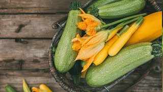 Prune zucchini plants - Increase production and fruit flowering - squash pruning!