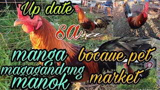 Up date sa manga magagandang manok