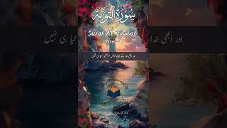 Quran Urdu Translation Surah Touba Ayat 16 #islam #quran  #shorts #surahtaubah #trending