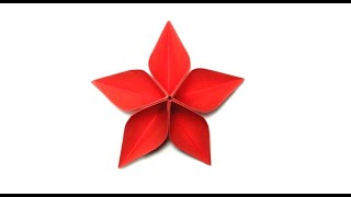 Origami flowers