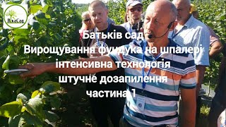 ФГ "Батьків сад" Вирощування фундука на шпалері інтенсивна технологія, штучне дозапилення частина 1