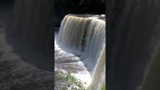 Taquamenon Falls, MI #shorts