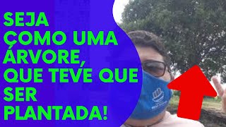 Seja como uma árvore, que teve que ser plantada! / PROJETO #365 / Episódio 76 / fdantascoach