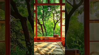 Which bedroom would you relax & watch nature...?😴🌿 #aesthetic #aurora #relaxing #vibes #asmr