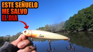 AVENTURA DE PESCA EN DAUTILLOS SINALOA | Lupe Lofish