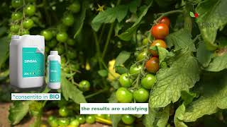 Contrasing SOIL SALINITY in ORGANIC FARMING (SINSAL)