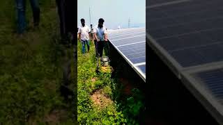 @CubCadetUSA Wheeled String Trimmer demo in Solar Plant