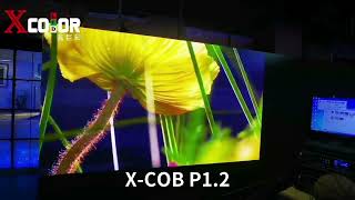 xcolor led display