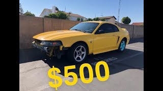 Making $1000 on V8 Mustang