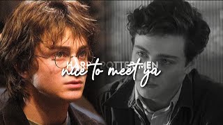 Harry Potter Boys | Nice to meet ya