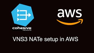 Save money on AWS NAT Gateway! (VNS3 NATe setup)