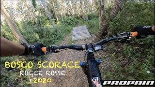 BOSCO SCORACE MTB Enduro - ROCCE ROSSE Trail - onboard PROPAIN EKANO - GOPRO 8 + Hypersmooth 2.0