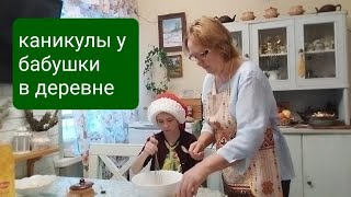 Каникулы у бабушки в деревне/ Собачья радость/ Освоили лыжи/ Печенье по-деревенски/  Нескучная жизнь