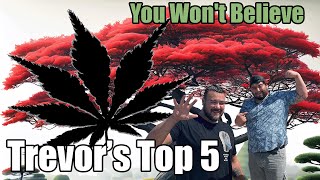 Trevor's Top 5 Japanese Maples