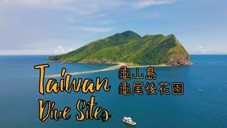 【Taiwan Dive Sites】宜蘭-龜山島 後花園