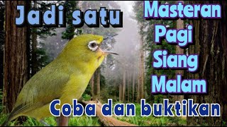 masteran pagi siang malam jadi satu!!!coba dan buktikan