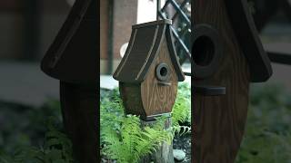 #скворечник #birdhouses #птички #birdwatching #кормушкадляптиц #деревянныеизделия