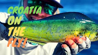 CROATIA ON THE FLY: Crazy fly fishing for Mahis