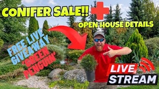 Conifer Sale + Open House Details | Free Tree Giveaway | MrMaple Show Live