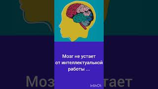 Топ 10 фактов как работает наш мозг