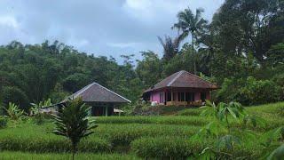 Rumah Idaman Di Masa Tua 😍 “ Tiis Ceuli Herang Panon “ Sederhana Tapi Indah