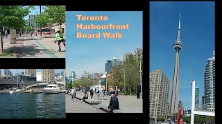 Harbour Front Board Walk || Evening walk || Lake shore Walk