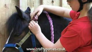 PONY LESSONS: How to put on a head collar