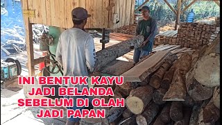 Proses pembuatan papan kayu jati belanda_Alga Elga