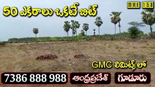 50 ACRES FARM LAND FOR SALE || 14 LAKHS || 130 KM FROM CHENNAI|| 7386888988 || #MadhavTv ||MRE-158