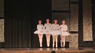 Dance of the Four Swans - Ballet 2