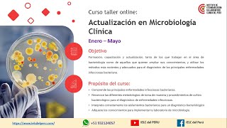 MÓDULO 3 Taller Día 3 Infecciones del tracto gastrointestinal