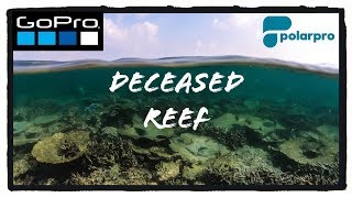 Deceased Reef | Maldives