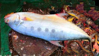 Big Surmai Fish Cutting With Knife, Expert Fisherman Cutting Seer Fish At Fish Market