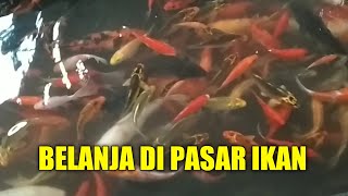 BELANJA DI PASAR IKAN BOJONG