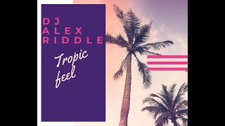 Dj Alex Riddle - Tropic feel (Original Mix)