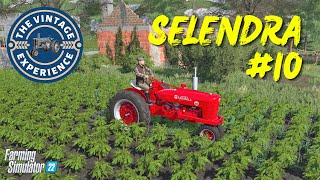 SELENDRA #10 - The Vintage Experience | FS22 | PS5