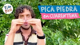 ¿Ya jugaste al PICA PIEDRA? • PIM PAU