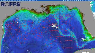 Gulf of Mexico Ocean Conditions Update - 07/05/2023