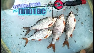 ПЛОТВА которая ГНЁТ КРЮЧКИ | открытие 2019