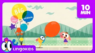 Hey Baby Bot 😎 The SUN is FUN! ☀️ | Cartoons for Kids | Lingokids