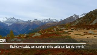 Nebi (Aleyhissalatu vesselam)'ın tefsirine vesile olan durumlar nelerdir? (179)