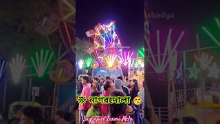 Enjoy🤹Sagarpur Mela🥳 mela dilo ka #mela #shorts #short #enjoy #ride #song #trending