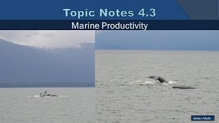 Topic Notes 4.3 - Marine Productivity - 2019