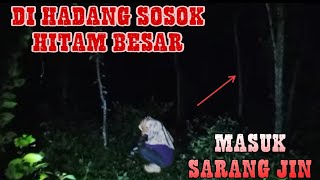 Masuk lokasi angker sarang jin hutan jati