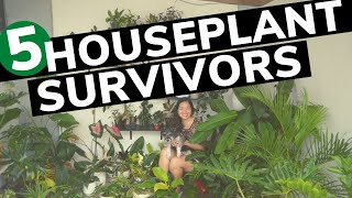 Houseplant Survivors | EP 24