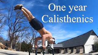 One year calisthenics transformation. Planche progression.