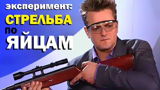 Галилео. Эксперимент. Стрельба по яйцам / Experiment: Eggs Shooting