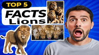 5 fascinating facts about Lions l Unexpected Truths #LionFacts #KingOfTheJungle #Wildlife