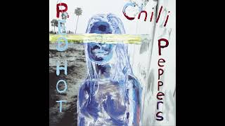 Red Hot chili peppers - Don´t forget me - (BACKING TRACK GuitaR SOLO)🎸